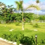 Foto 1:  Imóveis Nordeste Rurais