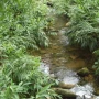 Foto 1:  Imóveis Nordeste Rurais