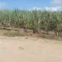 Foto 1:  Imóveis Nordeste Rurais