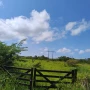 Foto 1:  Imóveis Nordeste Rurais