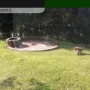 Foto 1:  Imóveis Nordeste Rurais