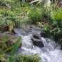 Foto 1:  Imóveis Nordeste Rurais
