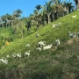 Foto 1:  Imóveis Nordeste Rurais